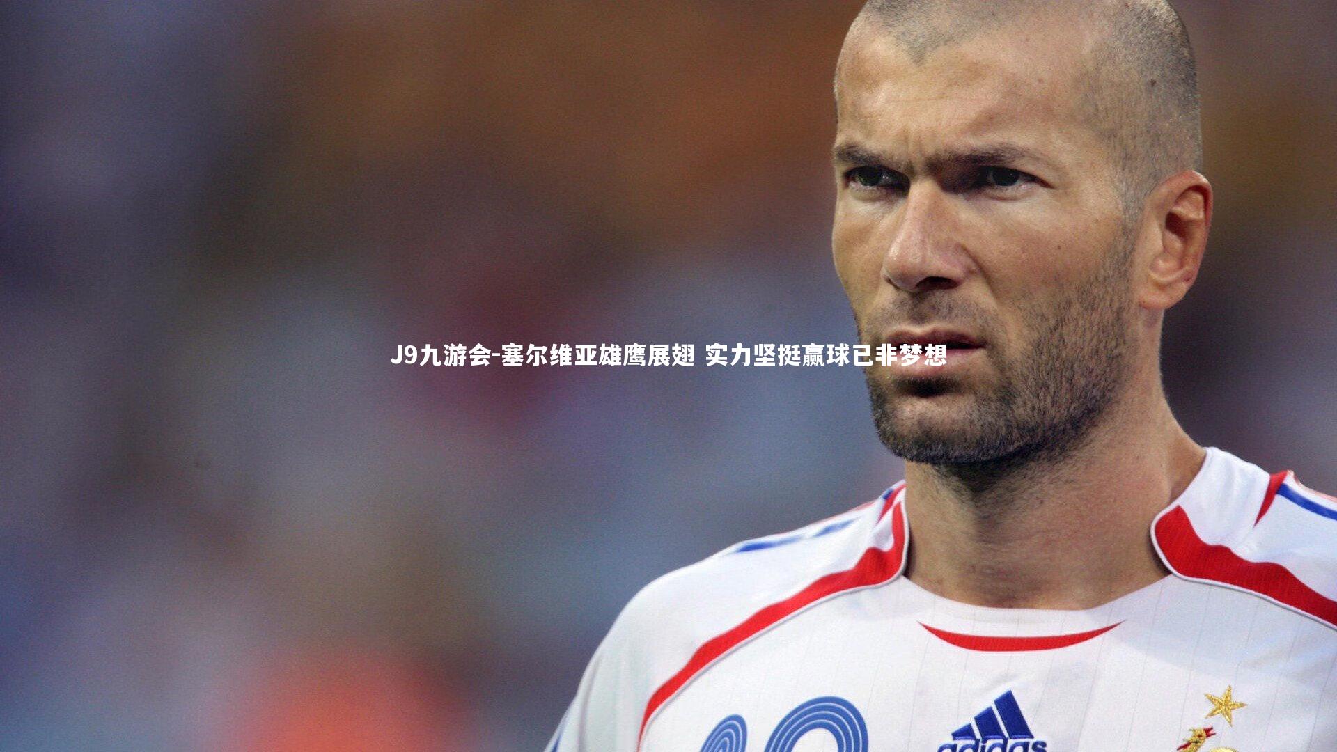 塞尔维亚雄鹰展翅 实力坚挺赢球已非梦想